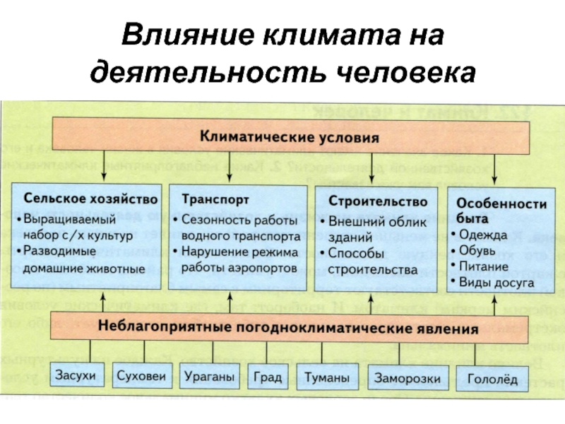 Воздействие человека на климат презентация