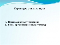 Структура организации 