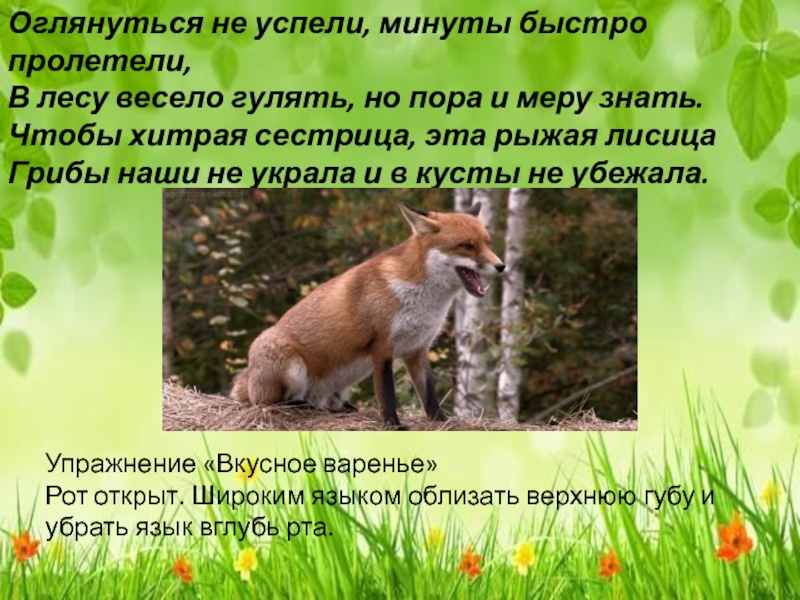 Рыжая лисица падеж. Подвижная игра рыжая лисица. Лиса гуляет по лесу. Хорошо хорошо хорошо в лесу кто теперь обидеть смеет рыжую лису. Фото где лиса гуляет по лесу.
