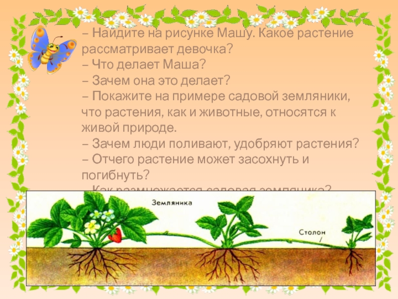 Текст если вы будете внимательно рассматривать цветы. Явление в жизни растения изображено на рисунке бабочка и цветок. Говорят худой как? Как какое растение ?. Как можно доказать что растения дышат кратко и понятно. Сможет ли растение жить без какой-либо части.