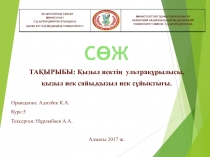 СӨЖ
ТАҚЫРЫБЫ: Қызыл иектің ультрақұрылысы,
қызыл иек сайы,қызыл иек