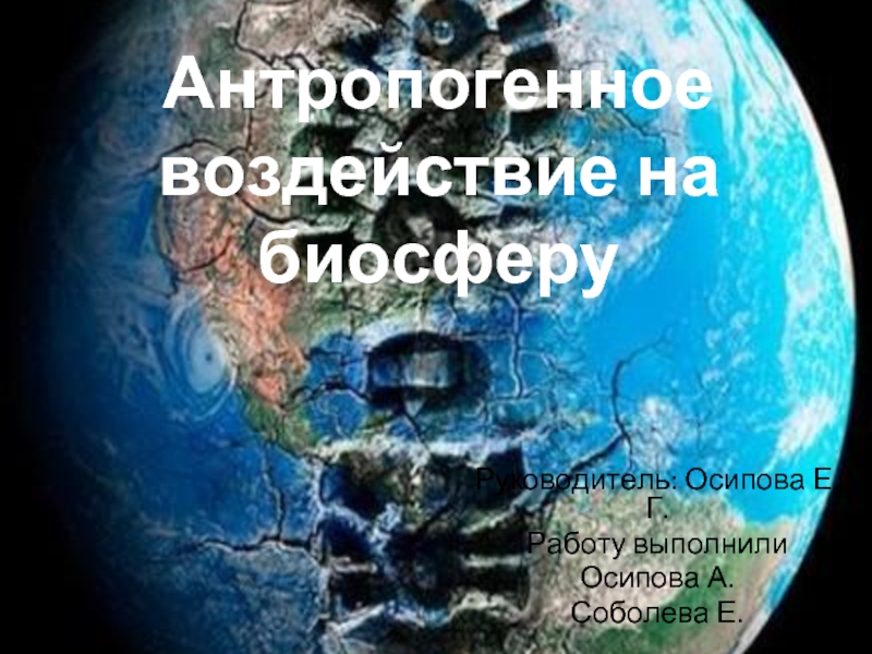Презентация Антропогенное воздействие на биосферу