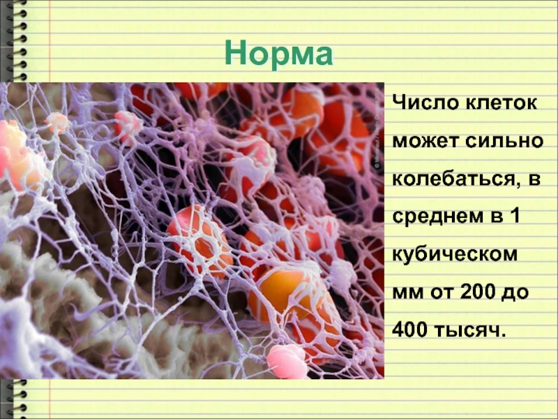 Количество клеток. Клетки крови для презентации. Клетки крови для презентации по биологии. Средние клетки в крови что это.