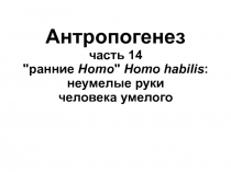 Антропогенез часть 14 