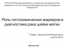 Роль гистохимических маркеров в диагностике рака шейки матки