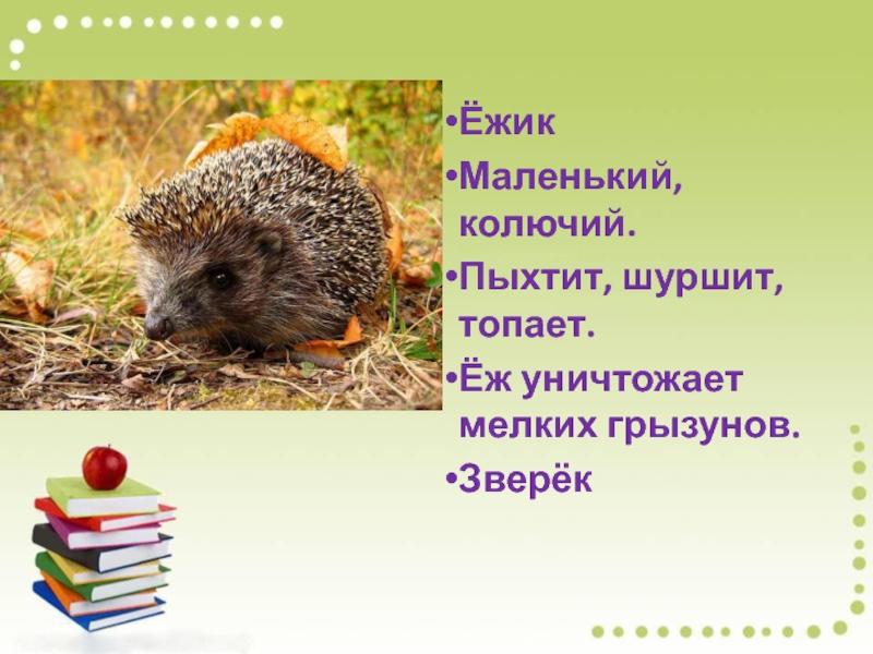 Чарушин страшный рассказ 2 класс. Ежик пыхтит. Еж топает. Урок чтения е Чарушин страшный рассказ 2 класс школа России. Синквейн к рассказу Чарушина страшный рассказ.