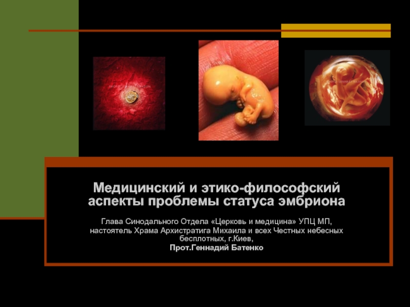 Презентация Медицинский и этико-философский аспекты проблемы статуса эмбриона