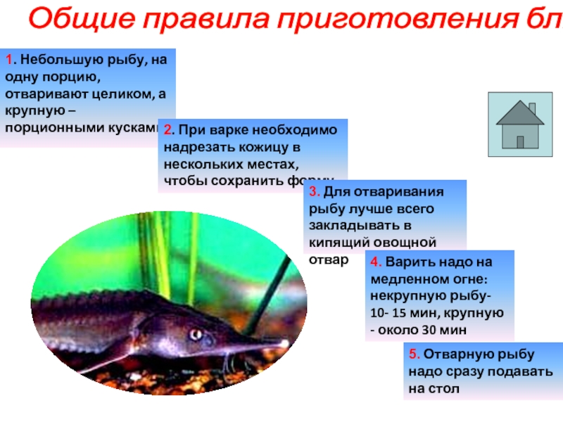 Доклад: Рыба с четырьмя глазами