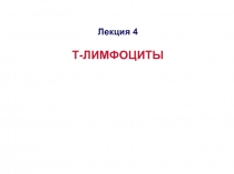 Лекция 4
Т-ЛИМФОЦИТЫ