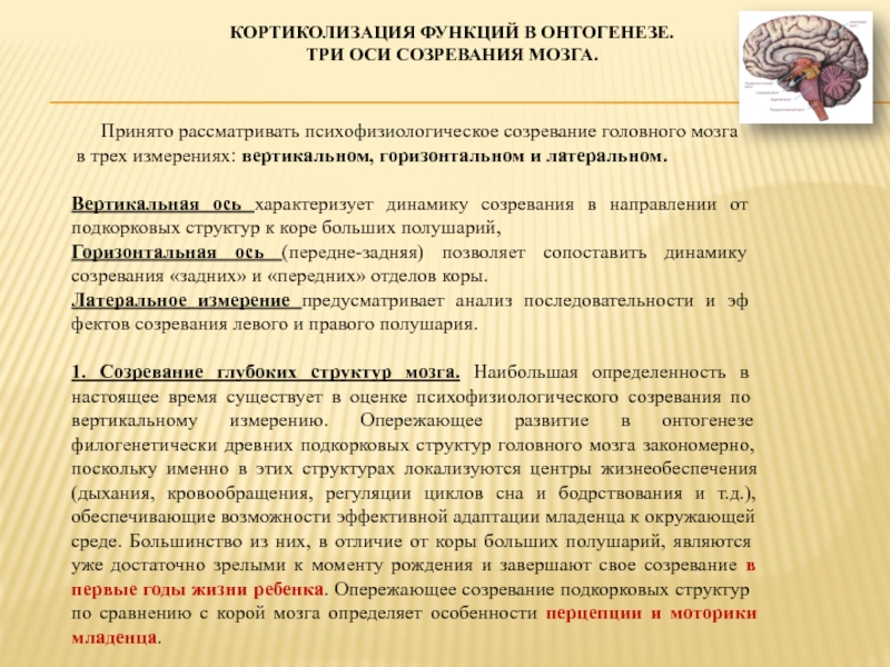 ГОСУДАРСТВЕННО Автономное образовательное учреждение высшего образования КОРТИКОЛИЗАЦИЯ ФУНКЦИЙ В ОНТОГЕНЕЗЕ. ТРИ ОСИ СОЗРЕВАНИЯ МОЗГА.    Принято КОРТИКОЛИЗАЦИЯ ФУНКЦИЙ В ОНТОГЕНЕЗЕ.  ТРИ ОСИ СОЗРЕВАНИЯ МОЗГА.     Принято рассматривать психофизиологическое созревание головного