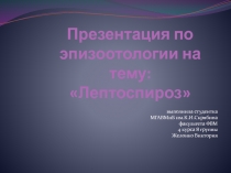 Презентация по эпизоотологии на тему: Лептоспироз