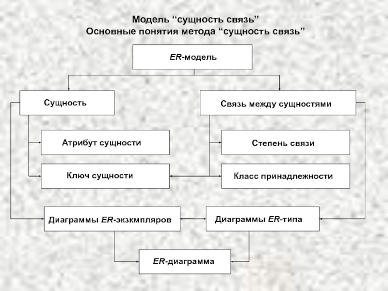 Презентация Модель сущность связь