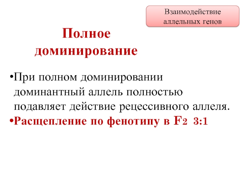 Полное расщепление. Взаимодействие аллельных генов полное доминирование. Взаимодействие аллельных генов расщепление. Полное доминирование расщепление по фенотипу. Рецессивный аллель.