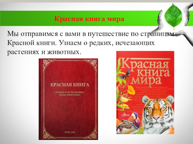 Красная книга брянской области презентация