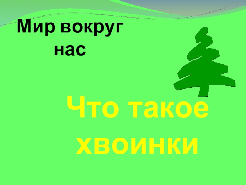 Что такое хвоинки