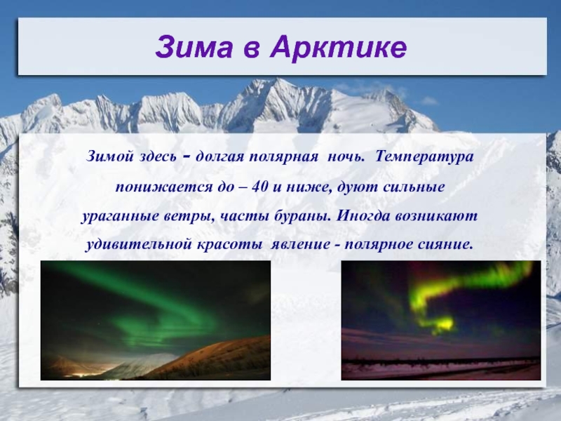 Полярный называют. Как называется зима в Арктике. Температура в Арктике зимой. Полярная ночь в Арктике Продолжительность. Полярная ночь температура.