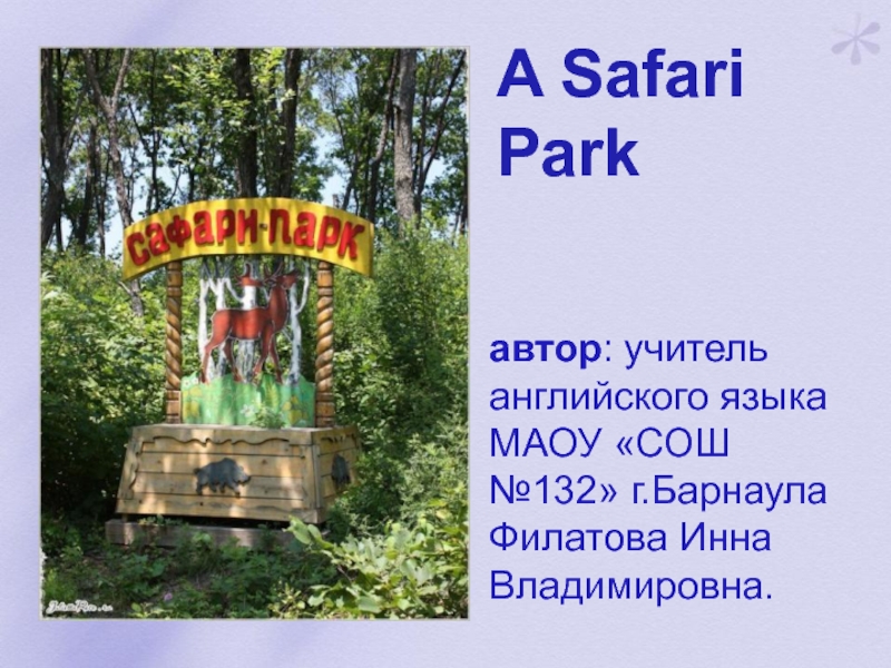 A Safari Park