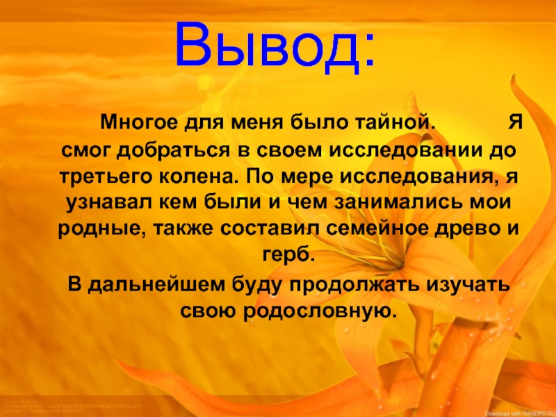 Вывод многое. Вывод про семью. Проект моя семья заключение. Заключение проекта бабушка. Проект секрет кухни семьи 2 класс.