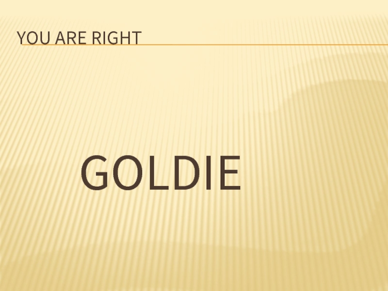 You are right      GOLDIE