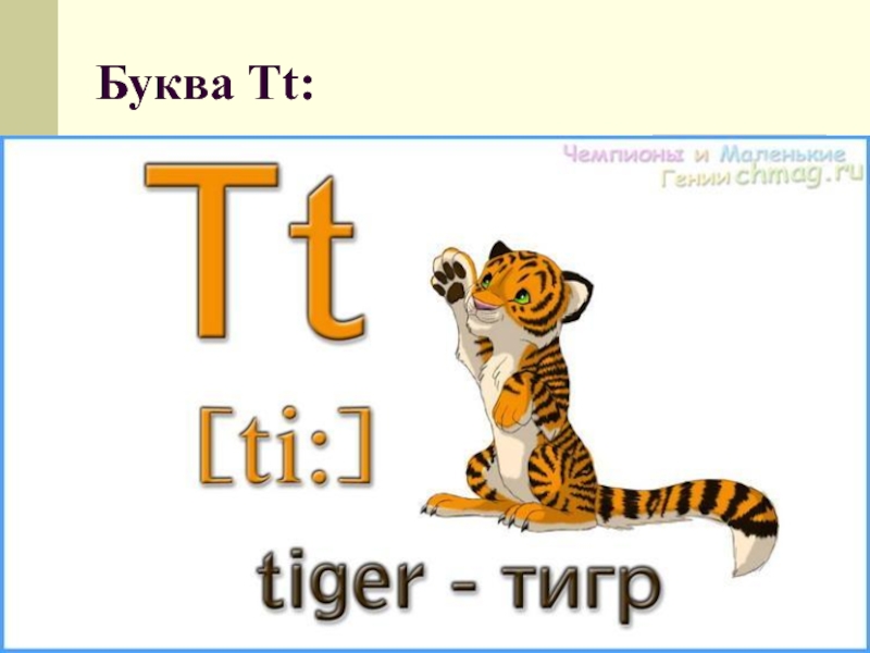 Тигр по английски. Буква t в английском языке. Английская буква t. Английские слова на букву t. Английские СЛОВАМНА букву t.