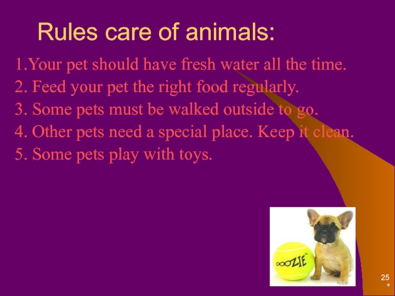 Keep pets перевод