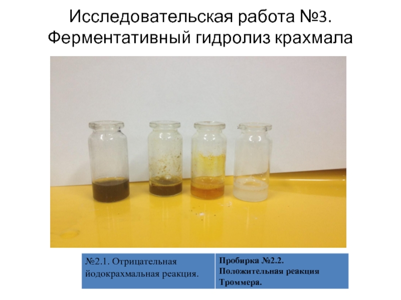 Лабораторная работа каталитическая активность. Положительная реакция Троммера. Ферментативный гидролиз крахмала. Ферментативный гидролиз крахмала реакция Троммера. Проба Троммера реакция.