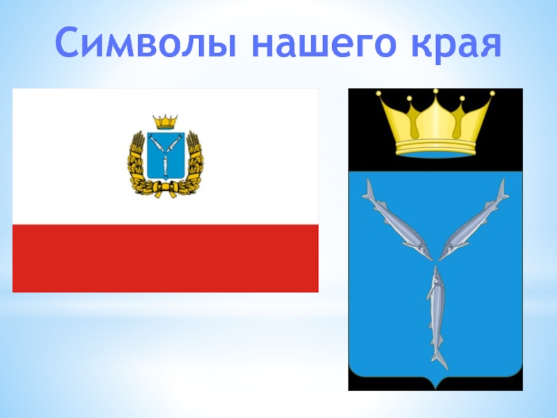 Символ края. Символы нашего края. Символы нашего края Санкт Петербург. Наши символы. Герб нашего края картинки.