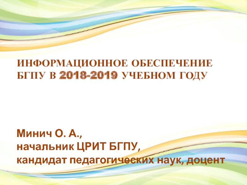 ИНФОРМАЦИОННОЕ ОБЕСПЕЧЕНИЕ БГПУ В 2018-2019 УЧЕБНОМ ГОДУ
Минич О. А.,
н