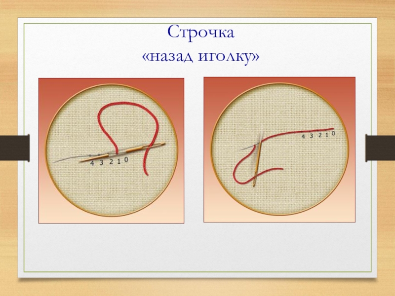 Класс назад. Пятый класс технология иголка назад. Как устроена иголка. По технологии дайте мне иголку. Кошка 3 класс технология иголка.