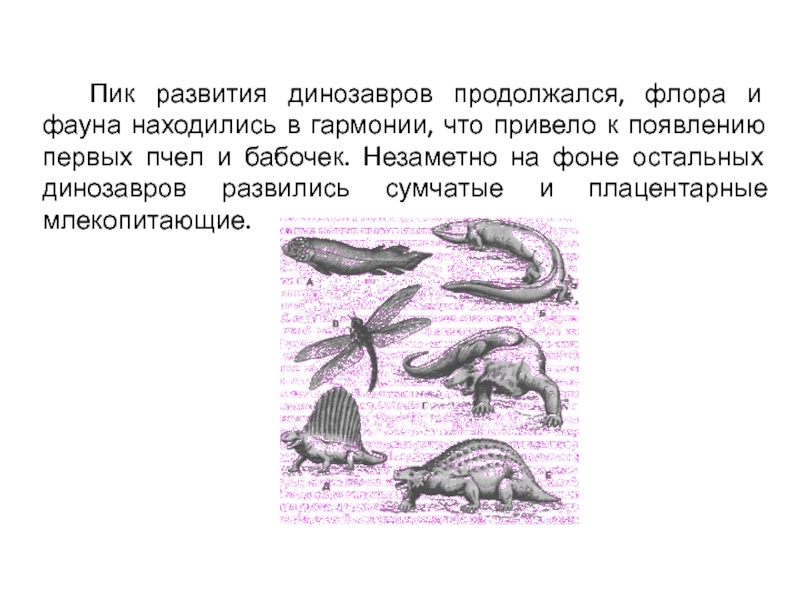 Презентация на тему мезозойская эра по биологии 9 класс