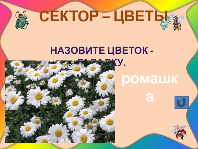 Зовут цветов. Тропинками родного края презентация. По Лесной тропе родного края презентация. Проект родного края Ромашка. Цветы зовут.