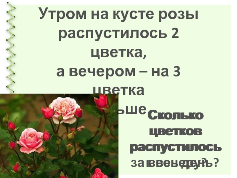 Сколько цветочков поместится на верхний ярус