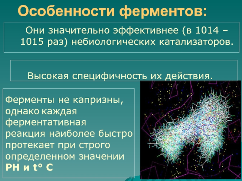 Ферменты презентация 10 класс