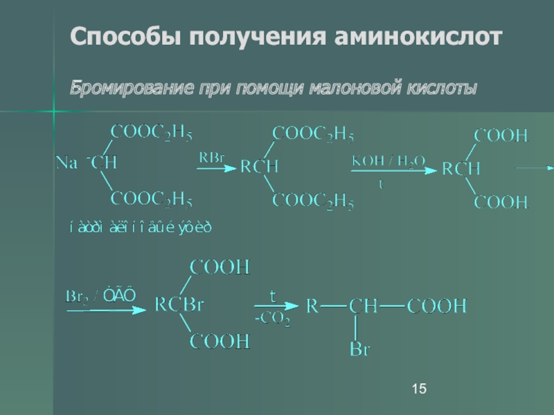 Процессы синтеза аминокислоты в. Синтез аминокислот малоновой кислотой. Способы получения аминокислот. Получение Альфа аминокислот. Способы получения аминокислот уравнения реакций.