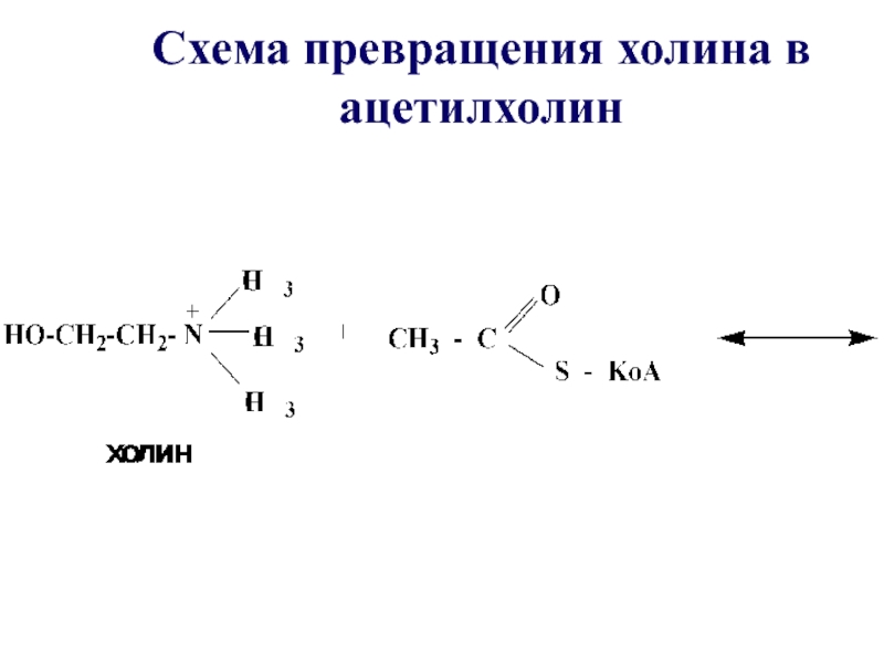 Схема нуклеофильного замещения