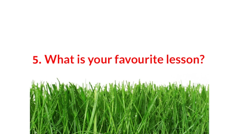 5. What is your favourite lesson?
