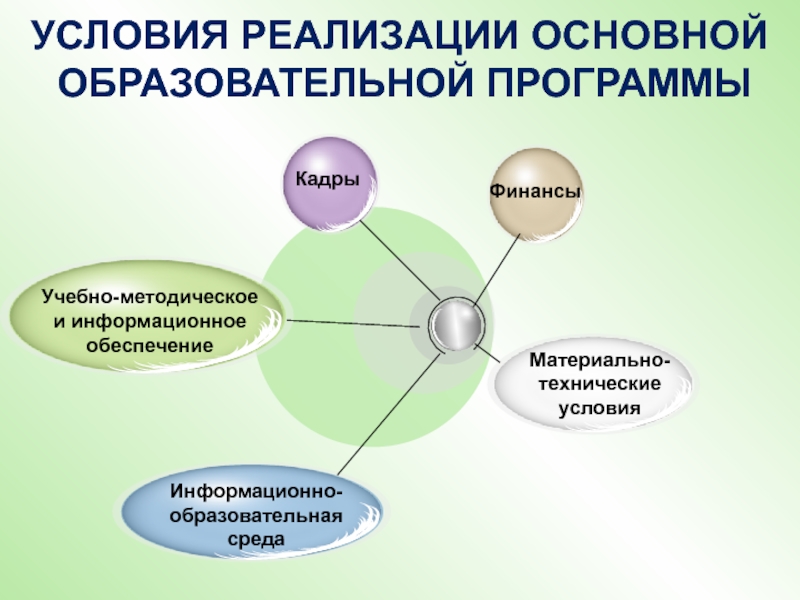 Условие реализации проекта