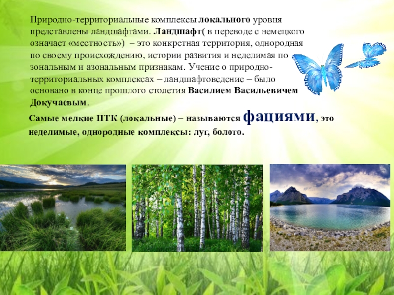 Территориальный комплекс. Локальные природные комплексы. Природно-территориальный комплекс. Ландшафт природно территориальный комплекс. Природно-территориальные комплексы локального уровня представлены.