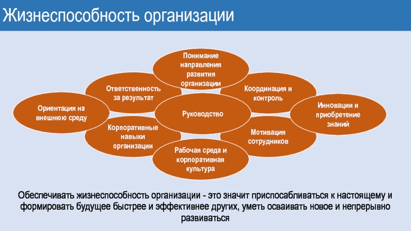 Жизнеспособность проекта пример