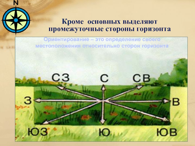 Контурная карта ориентирование стороны горизонта