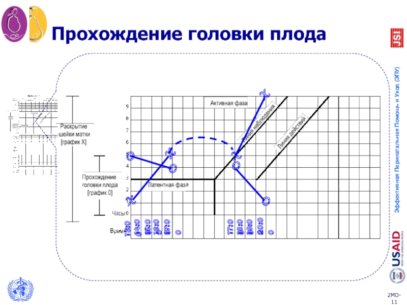 Партограмма в акушерстве образец