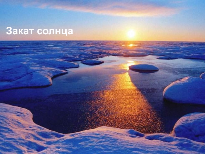 Доклад от южных морей до полярного края. Полярный день в Арктике. Солнце в Арктике. Лето в Арктике. Природа Северного полюса.