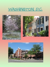 Waschington DC