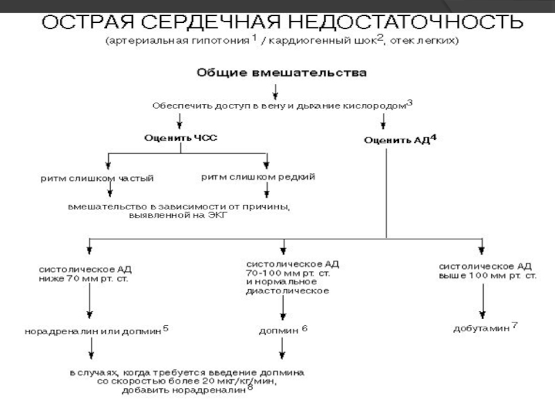 Схема патогенеза кардиогенного шока