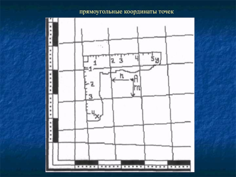 Карта с прямоугольными координатами онлайн