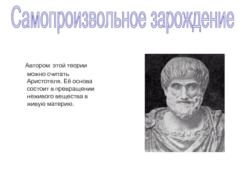 Гипотеза самопроизвольного зарождения презентация