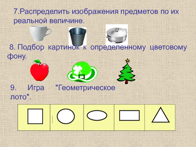 Распределите картинки по соответствующим группам