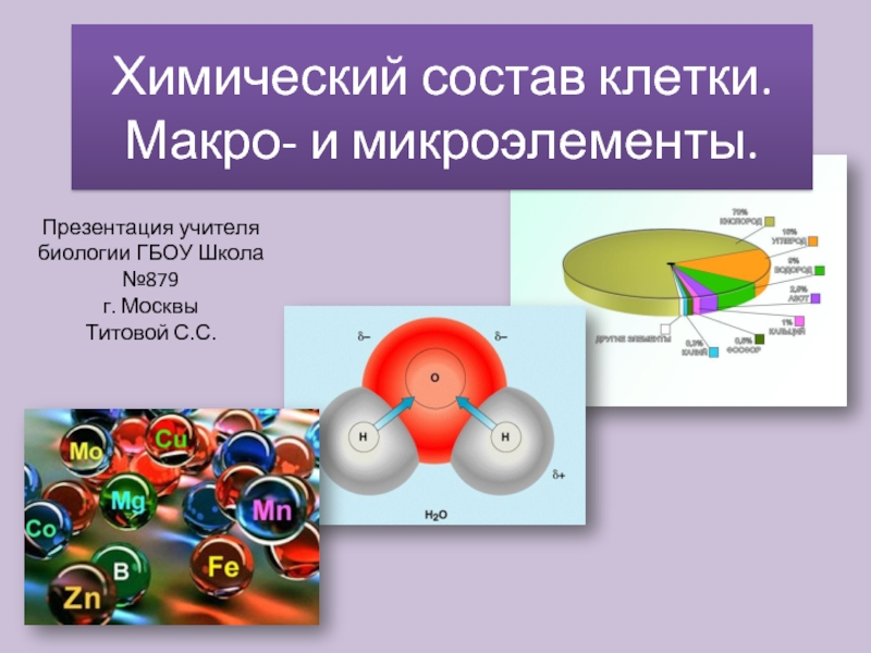 Химический состав клетки. Макро- и микроэлементы