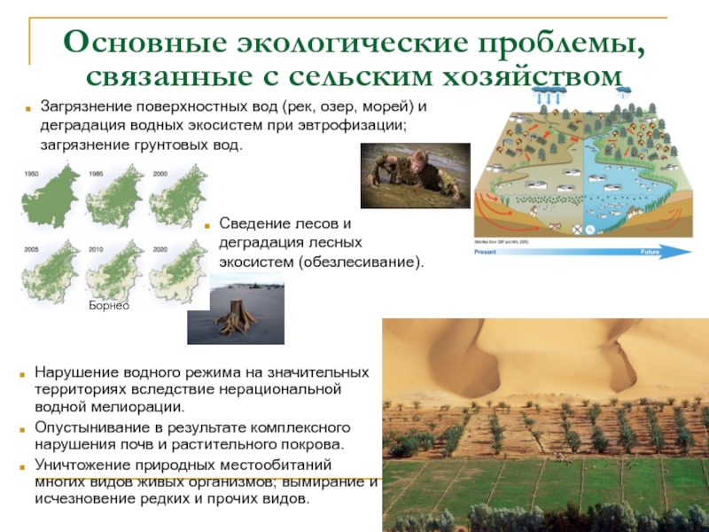 Деградация малых рек проект по географии