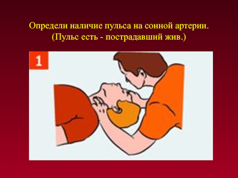 Наличие на сонной артерии. Определение пульса на сонной артерии. Оценка состояния пульса на сонной артерии пострадавшего. Определить наличие пульса на сонной артерии пострадавшего. Как определить пульс на сонной артерии.